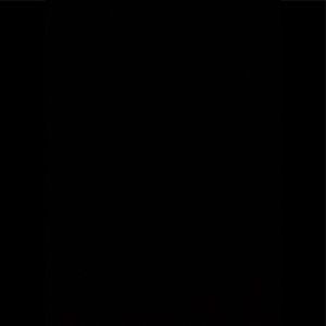 Meet your Posher, Genevie